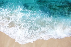 世界短道速滑教练互访成果展示：战术交流推动训练创新，世界短道速滑视频
